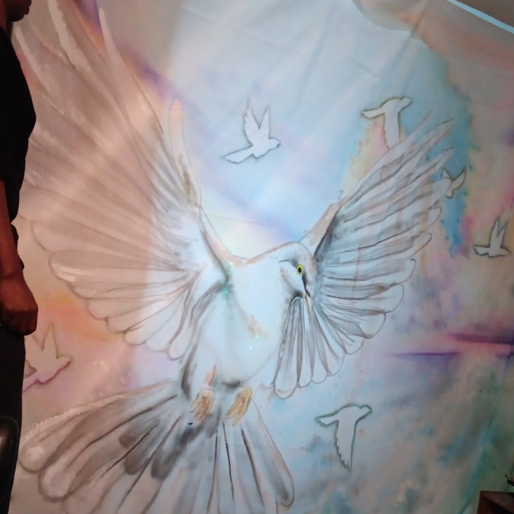 9ft by 12ft Dove backdrop with sky background.